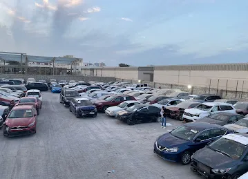 Sea Horse used cars