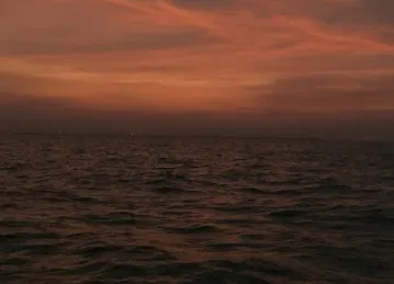 Sea Masters