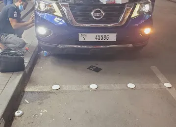 Sea star car accessories