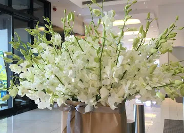 Sentiments.ae | Flower Shop