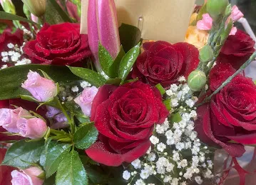 Sentiments.ae | Flower Shop