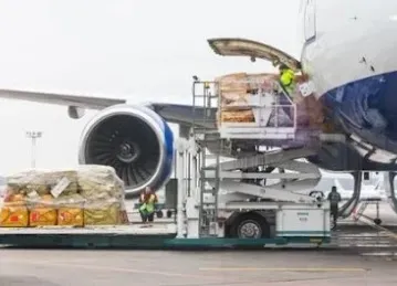 SERB AVIATION