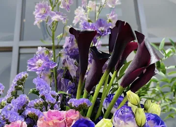 Shades Flowers