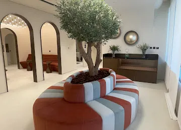 Shajara Artificial Plants