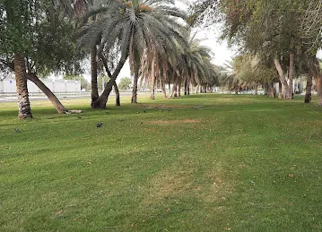 Shakhbout Bin Sultan St - Al Mushrif