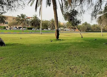 Shakhbout Bin Sultan St - Al Mushrif