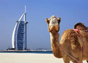 Shamma Tourism Dubai