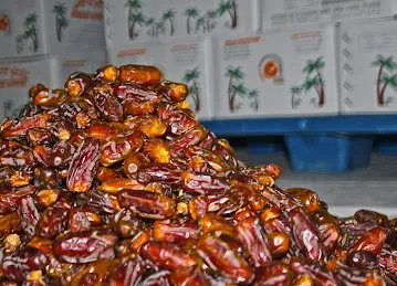 Sharjah Dates Factory