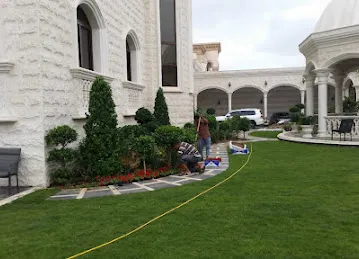 Sharjah Plants Nursery shop landscaping and gardening