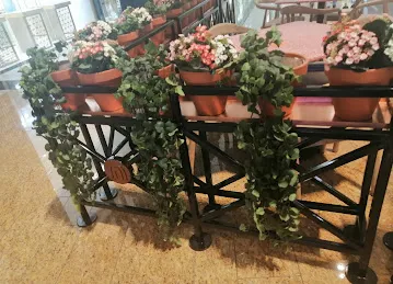 Sharjah Plants Nursery shop landscaping and gardening