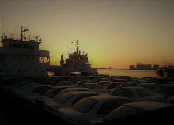 Shark Shipping & Cargo LLC