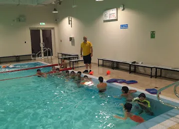 Shark Swimming Academy