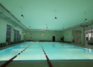 Shark Swimming Academy