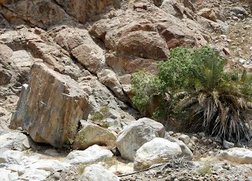 Shees vally