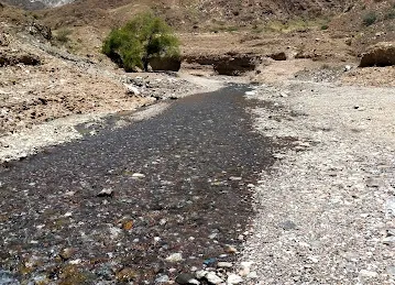 Shees vally