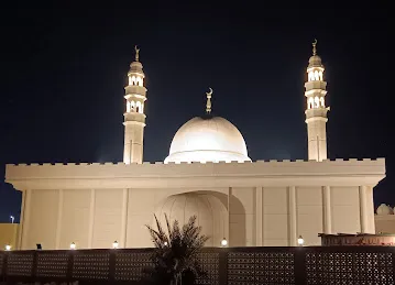 Sheikh Hamed Bin Butti Al Hamid 66 Mosque
