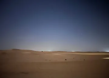 شجرة لمة الحبايب