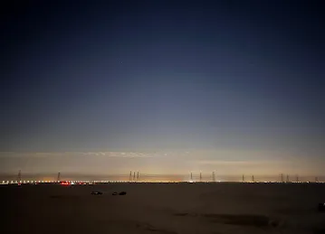 شجرة لمة الحبايب