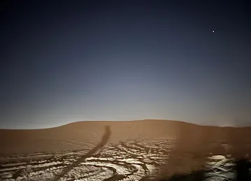 شجرة لمة الحبايب