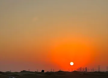 شجرة لمة الحبايب