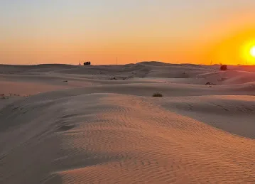شجرة لمة الحبايب