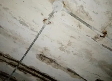 Shk. Rashid Bin Saeed St / Omar Bin Al Khatab Mosque