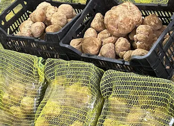 شركة المواد الغذائية والخضار والفواكه الطازجة