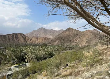 شاطئ البدية