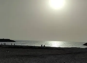 شاطئ النخيل
