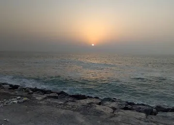 شاطئ النخيل
