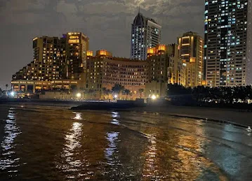 شاطئ النخيل