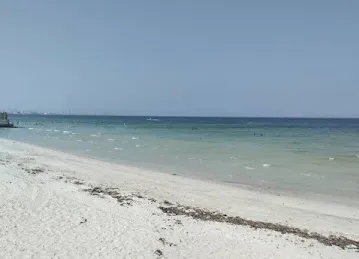 شاطئ النخيل