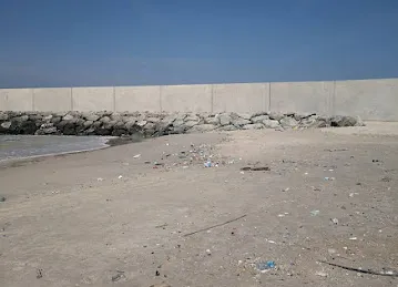 شاطئ النخيل