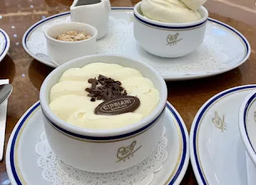 شيبرياني فاشن افنيو