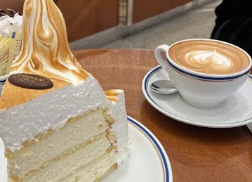 شيبرياني فاشن افنيو