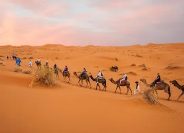 sightseeing-dubai