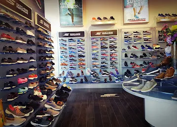 Skechers Showroom
