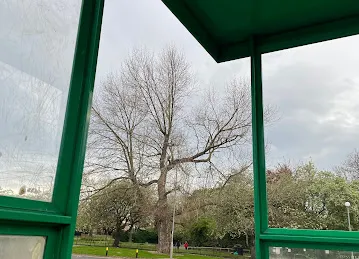 اسکله سبخه