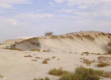 صخور احفورية