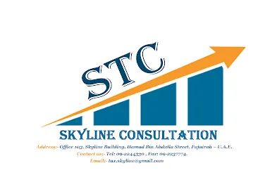 Skyline Tax Consultation