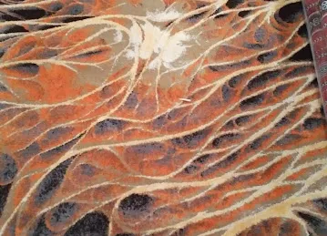 سلفرسن Silver Sun
