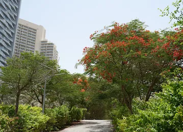 Small park