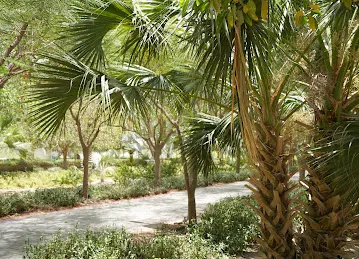 Small park