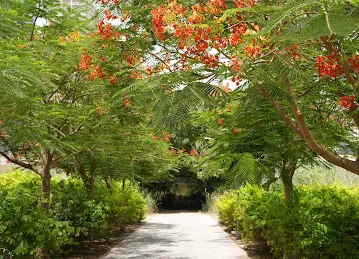 Small park
