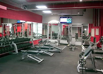 Snap Fitness Media City | Best Gym in Dubai