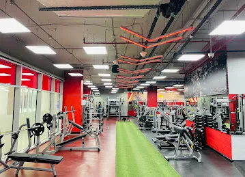 Snap Fitness Motor City