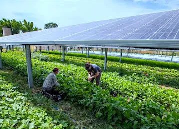 Solar LED Lights Dubai UAE