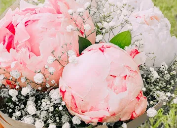 Solidago Flowers Trading LLC