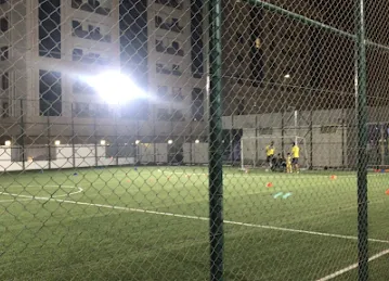 Solo Day Sports Academy