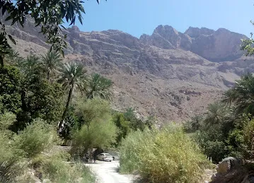 Sonapur
